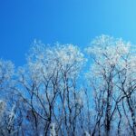 北海道の大自然に圧倒された旅