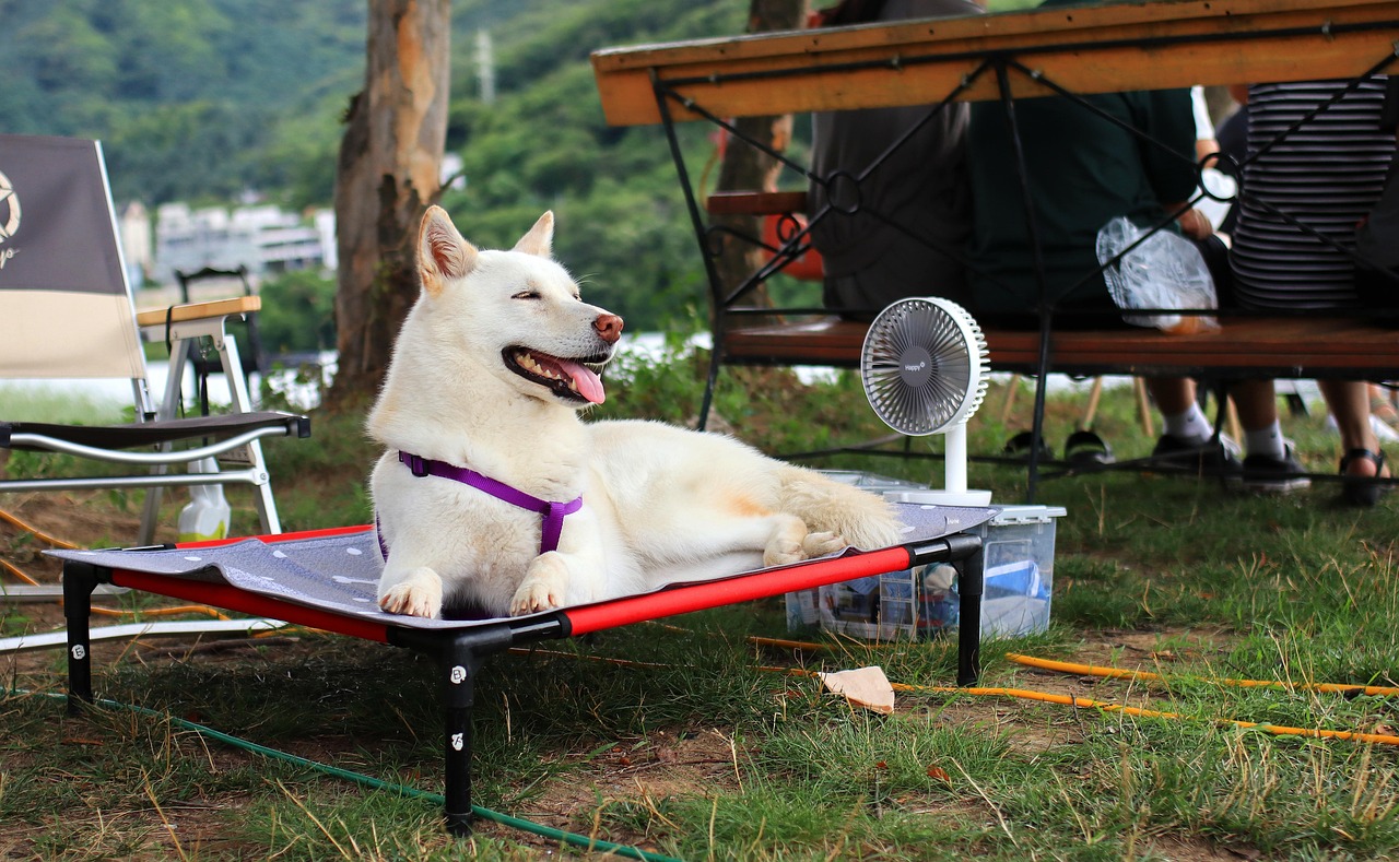 空調ベスト